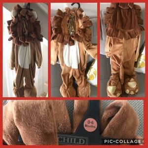 Lion costume for infants